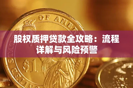 武汉股权质押贷款全攻略：流程详解与风险预警