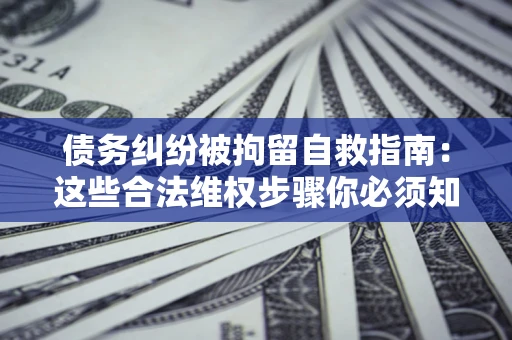武汉债务纠纷被拘留自救指南：这些合法维权步骤你必须知道！