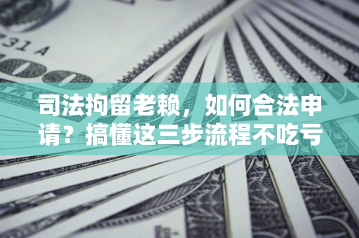 武汉司法拘留老赖，如何合法申请？搞懂这三步流程不吃亏！
