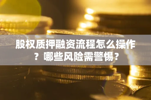 武汉股权质押融资流程怎么操作？哪些风险需警惕？