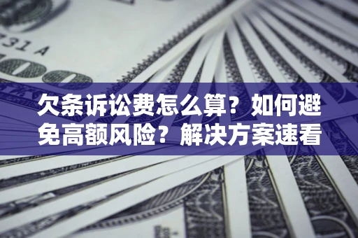 武汉欠条诉讼费怎么算？如何避免高额风险？解决方案速看！