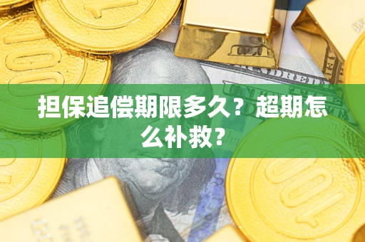 武汉担保追偿期限多久？超期怎么补救？