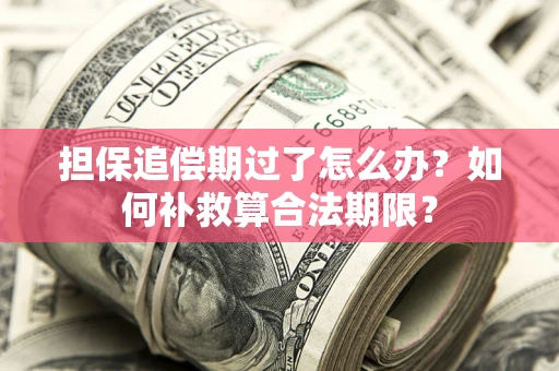 武汉担保追偿期过了怎么办？如何补救算合法期限？