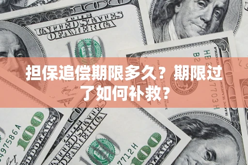 武汉担保追偿期限多久？期限过了如何补救？