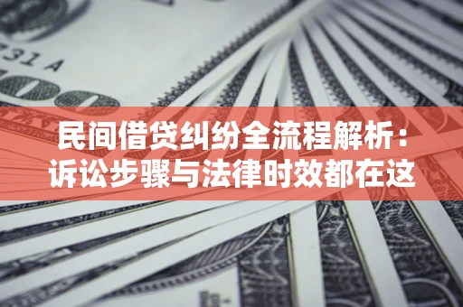 武汉民间借贷纠纷全流程解析：诉讼步骤与法律时效都在这儿了