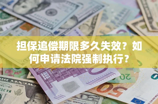 武汉担保追偿期限多久失效？如何申请法院强制执行？