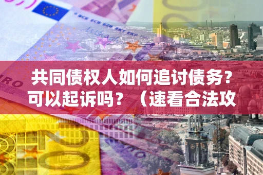 武汉共同债权人如何追讨债务？可以起诉吗？（速看合法攻略）
