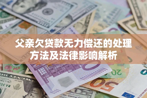 武汉父亲欠贷款无力偿还的处理方法及法律影响解析