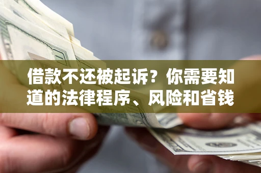 武汉借款不还被起诉？你需要知道的法律程序、风险和省钱技巧